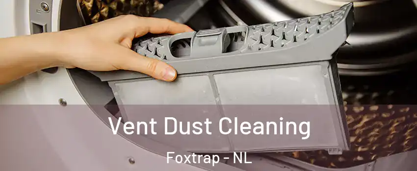  Vent Dust Cleaning Foxtrap - NL