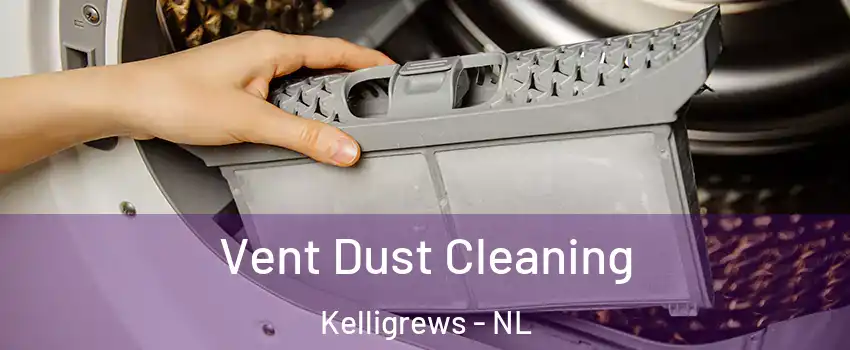  Vent Dust Cleaning Kelligrews - NL