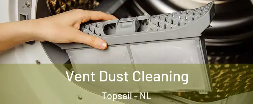  Vent Dust Cleaning Topsail - NL