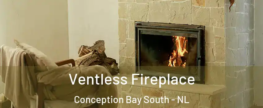 Ventless Fireplace Conception Bay South - NL