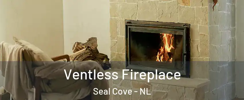  Ventless Fireplace Seal Cove - NL