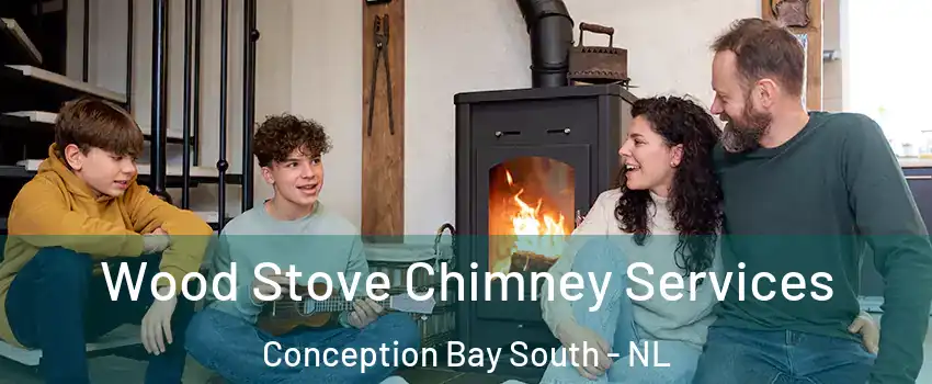  Wood Stove Chimney Services Conception Bay South - NL