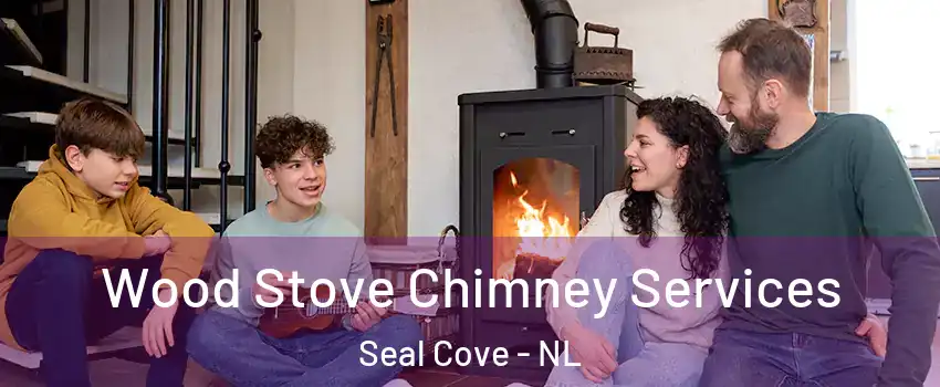  Wood Stove Chimney Services Seal Cove - NL