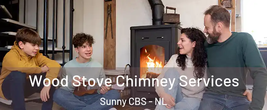  Wood Stove Chimney Services Sunny CBS - NL