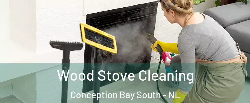 Wood Stove Cleaning Conception Bay South - NL