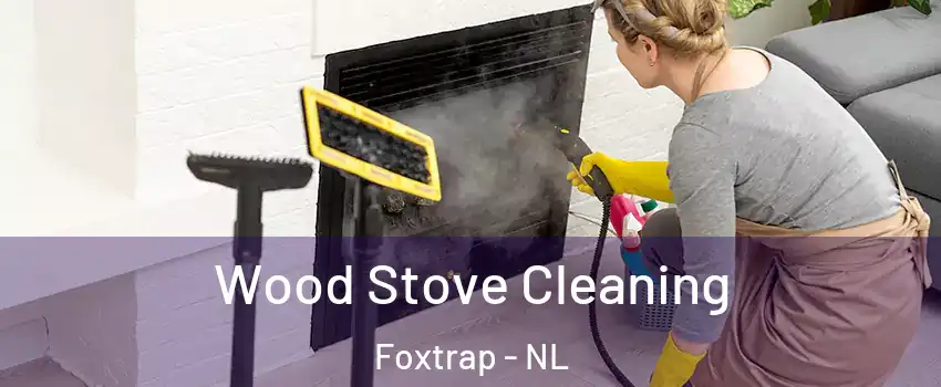  Wood Stove Cleaning Foxtrap - NL