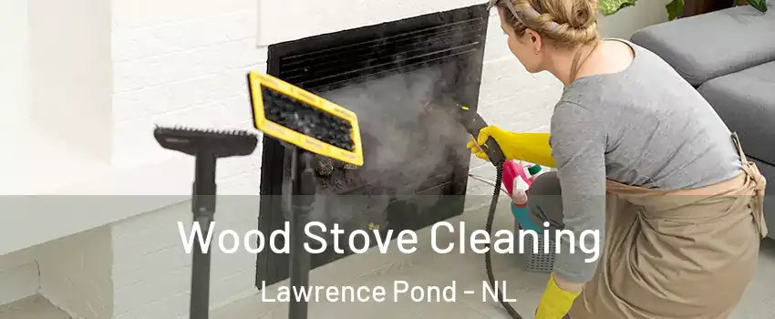  Wood Stove Cleaning Lawrence Pond - NL