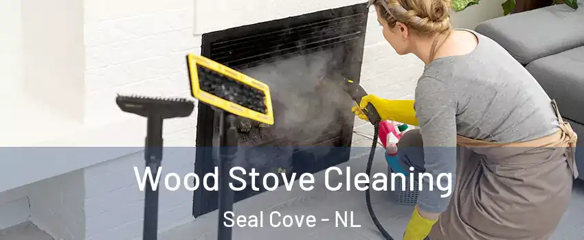  Wood Stove Cleaning Seal Cove - NL